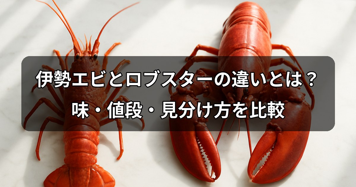 iseebi-lobster-difference