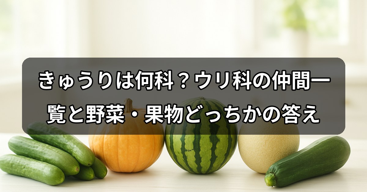 kyuri-nanika